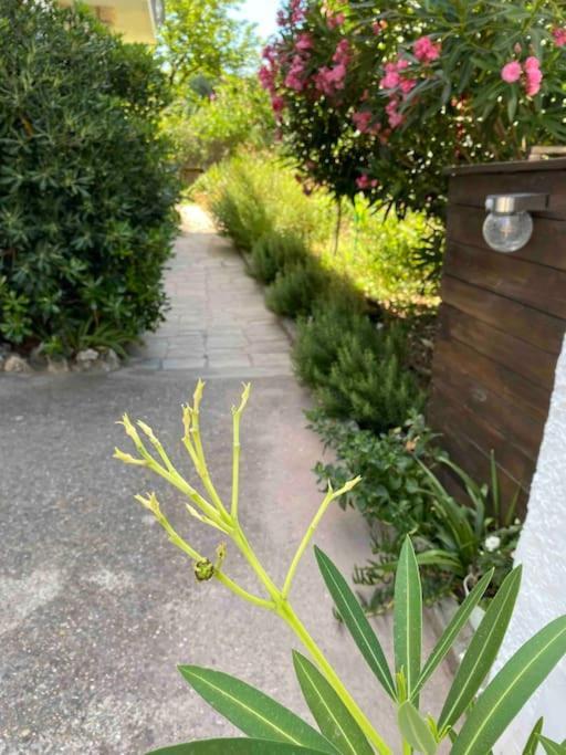 Une Pause Au Paradis Sorgues Luaran gambar